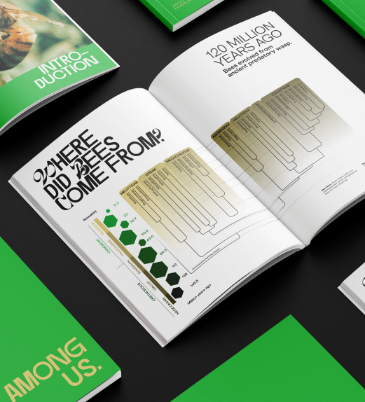 The 4S SEO Model: Leveraging Resources for Growth